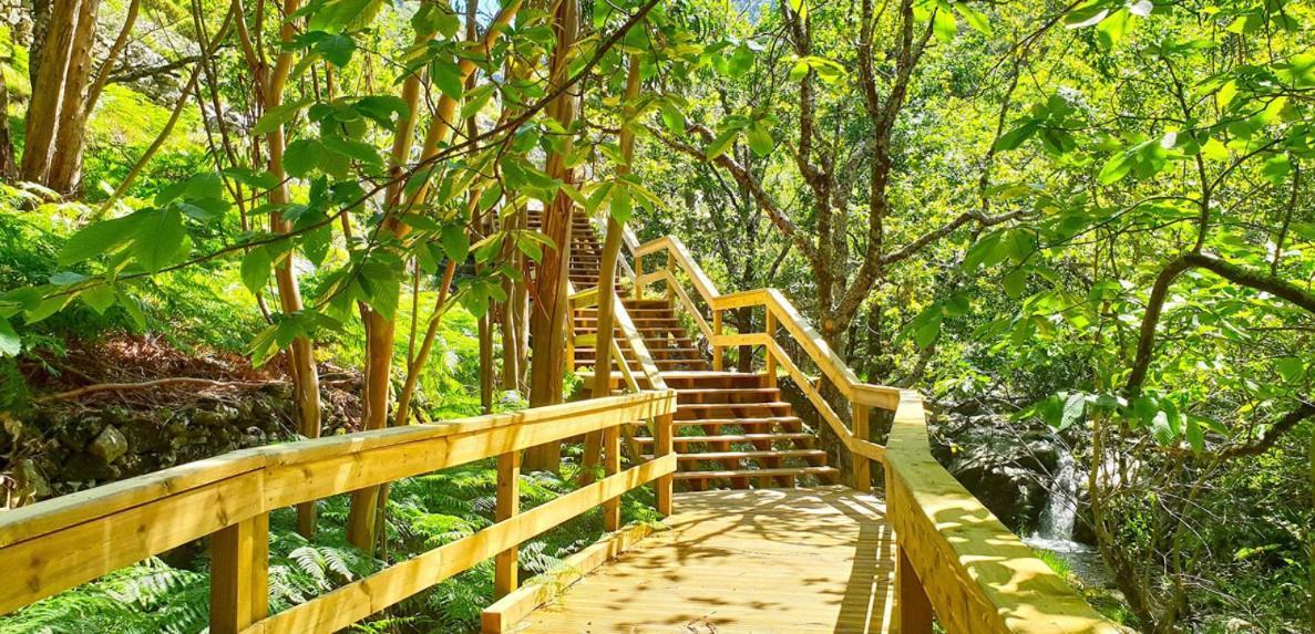 Sweet Home - Praia Das Rocas Castanheira de Pera Exterior photo